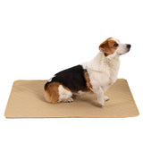 Repeated Water Absorption Training For Pet Changing Pads